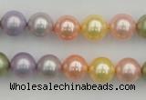 CSB330 15.5 inches 10mm round mixed color shell pearl beads