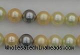 CSB333 15.5 inches 10mm round mixed color shell pearl beads