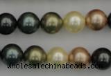 CSB361 15.5 inches 12mm round mixed color shell pearl beads