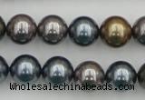 CSB366 15.5 inches 12mm round mixed color shell pearl beads