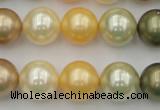 CSB373 15.5 inches 14mm round mixed color shell pearl beads