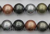 CSB382 15.5 inches 14mm round mixed color shell pearl beads