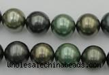 CSB385 15.5 inches 14mm round mixed color shell pearl beads