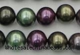 CSB386 15.5 inches 14mm round mixed color shell pearl beads