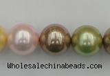 CSB393 15.5 inches 16mm round mixed color shell pearl beads