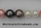 CSB408 15.5 inches 8mm - 16mm round mixed color shell pearl beads