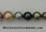 CSB409 15.5 inches 8mm - 16mm round mixed color shell pearl beads