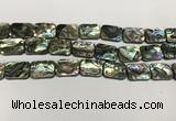 CSB4155 15.5 inches 13*18mm rectangle abalone shell beads wholesale