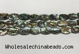 CSB4161 15.5 inches 12*16mm flat drum abalone shell beads wholesale