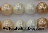 CSB624 15.5 inches 14mm whorl round mixed color shell pearl beads