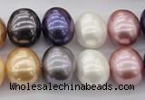 CSB696 15.5 inches 13*15mm oval mixed color shell pearl beads