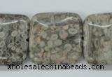 CSF07 15.5 inches 25*25mm square shell fossil jasper beads