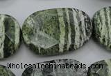 CSJ127 15.5 inches 20*30mm faceted freeform green silver line jasper beads