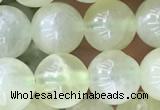 CSJ312 15.5 inches 7mm round serpentine new jade beads