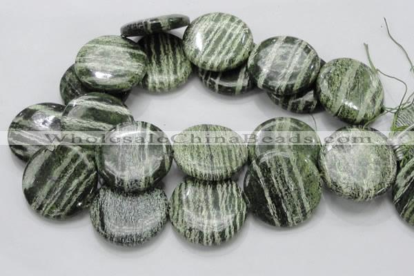 CSJ48 15.5 inches 40mm flat round green silver line jasper beads