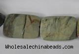 CSL121 15.5 inches 18*25mm faceted rectangle silver leaf jasper beads