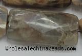 CSS117 15.5 inches 25*50mm faceted rectangle natural sunstone beads