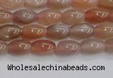 CSS265 15.5 inches 5*8mm rice sunstone beads wholesale