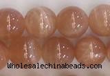 CSS705 15.5 inches 8mm round natural golden sunstone beads