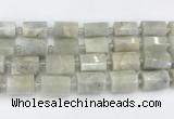 CTB876 13*25mm - 14*19mm faceted tube moonstone beads