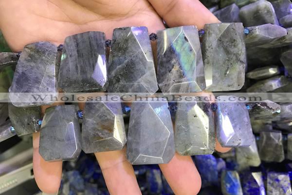 CTD2105 Top drilled 20*28mm - 22*32mm faceted freeform labradorite beads