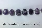 CTD2144 Top drilled 15*25mm - 18*25mm freeform dogtooth amethyst beads