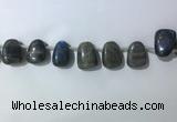 CTD2151 Top drilled 15*25mm - 18*25mm freeform labradorite beads