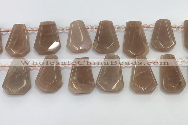 CTD2333 Top drilled 16*18mm - 20*30mm faceted freeform moonstone beads