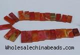 CTD2666 Top drilled 14*27mm - 16*42mm rectangle agate jasper beads