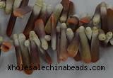 CTD2767 Top drilled 4*20mm - 6*22mm sticks sea urchin shell beads