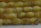 CTE1515 15.5 inches 6*10mm rice golden tiger eye beads wholesale