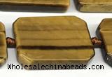 CTE2306 15 inches 22*30mm – 23*32mm rectangle yellow tiger eye beads