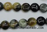 CTE560 15.5 inches 10mm flat round golden & blue tiger eye beads