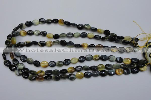 CTE568 15.5 inches 8*10mm oval golden & blue tiger eye beads