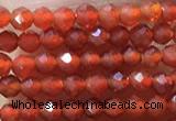 CTG1004 15.5 inches 2mm faceted round tiny red agate beads