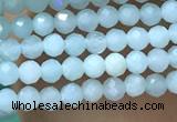 CTG1049 15.5 inches 2mm faceted round tiny amazonite beads