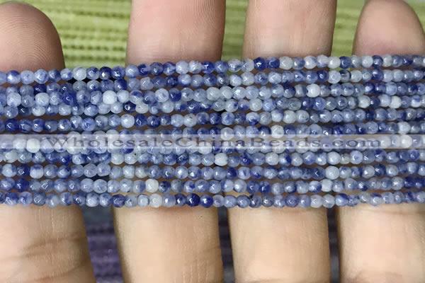 CTG1069 15.5 inches 2mm faceted round tiny blue spot stone beads