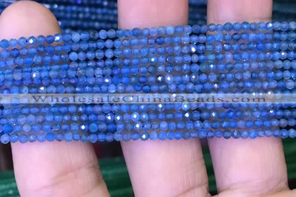 CTG1073 15.5 inches 2mm faceted round tiny apatite beads