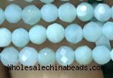 CTG1165 15.5 inches 3mm faceted round tiny amazonite beads