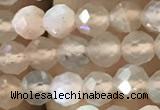 CTG1207 15.5 inches 4mm faceted round tiny rainbow moonstone beads