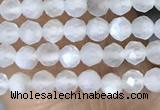 CTG1401 15.5 inches 2mm faceted round white moonstone beads wholesale