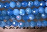 CTG1418 15.5 inches 2mm faceted round apatite beads wholesale