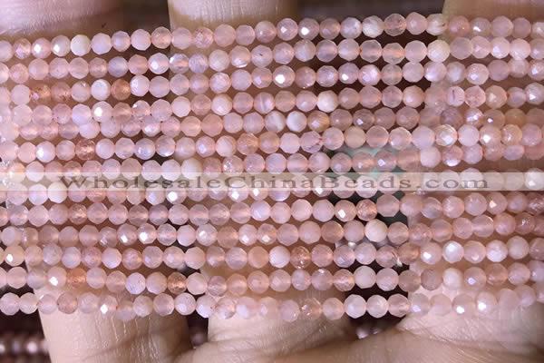 CTG1453 15.5 inches 2mm faceted round moonstone beads wholesale