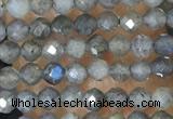 CTG1459 15.5 inches 2mm faceted round labradorite beads wholesale