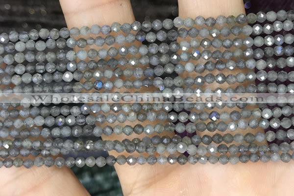 CTG1459 15.5 inches 2mm faceted round labradorite beads wholesale