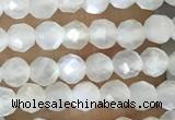 CTG1480 15.5 inches 3mm faceted round white moonstone beads