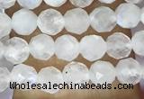 CTG1481 15.5 inches 3mm faceted round white moonstone beads