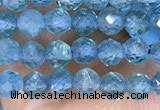 CTG1497 15.5 inches 3mm faceted round apatite beads wholesale