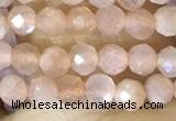 CTG1502 15.5 inches 3mm faceted round moonstone beads wholesale