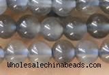 CTG1582 15.5 inches 4mm round grey moonstone beads wholesale